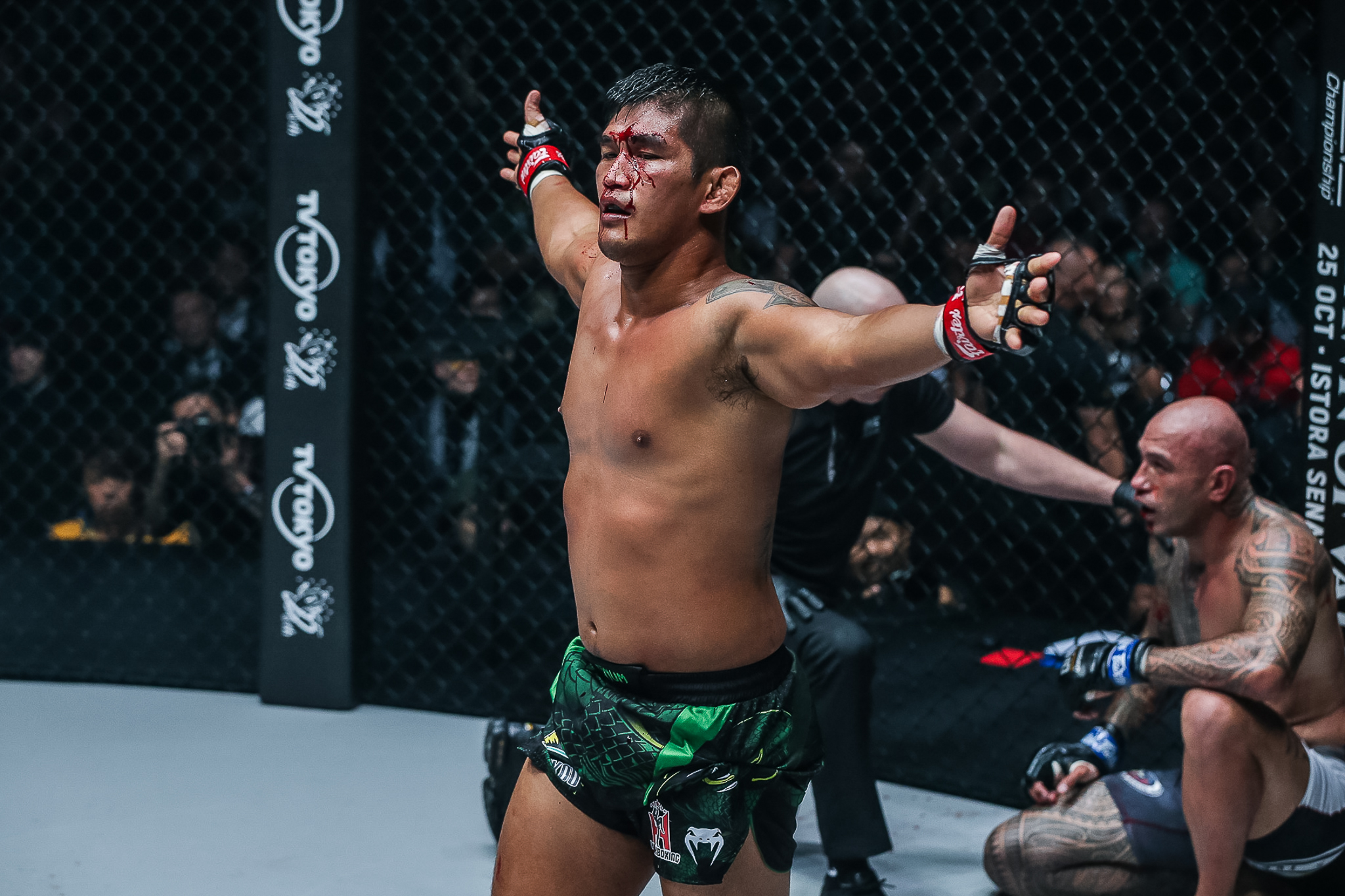 Aung La N Sang retains light heavyweight title, TKO's Brandon Vera